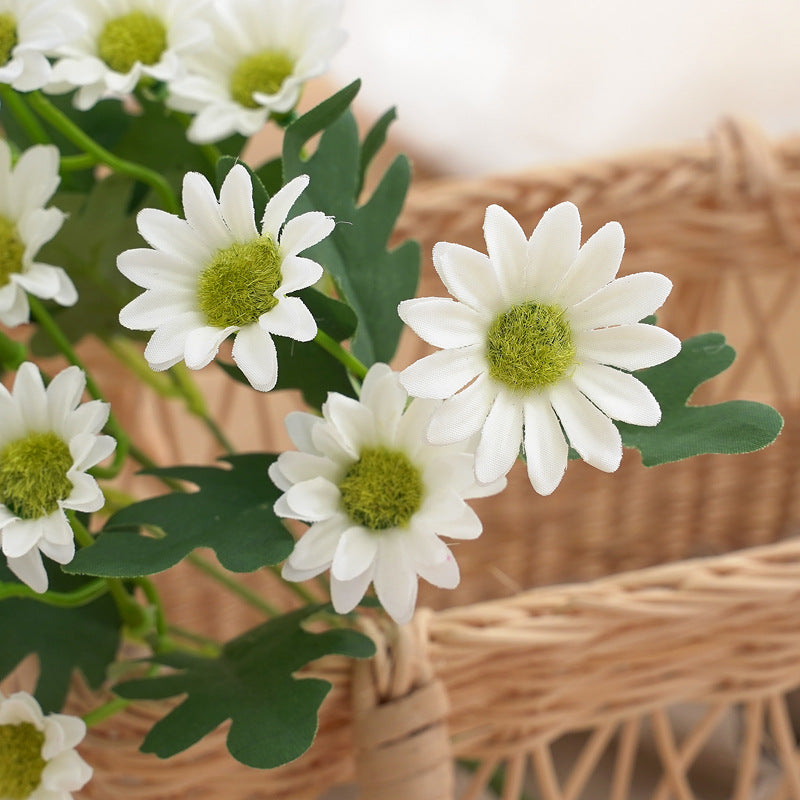 21 Köpfe Lebendige Sonnenblumen und Gänseblümchen Sträuße mit Kamille